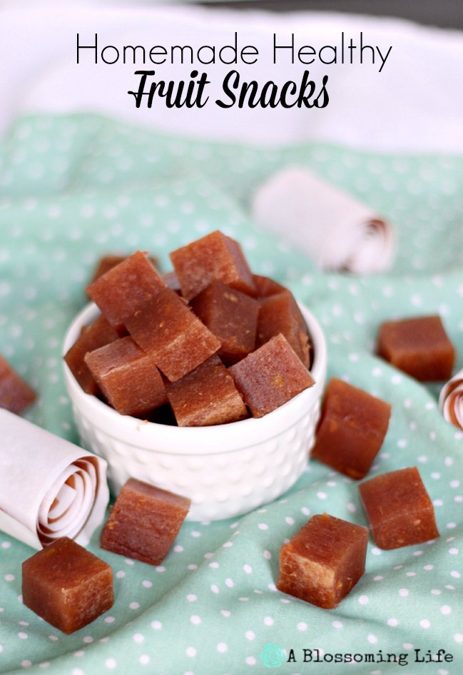 Homemade Healthy Fruit Snacks A Blossoming Life